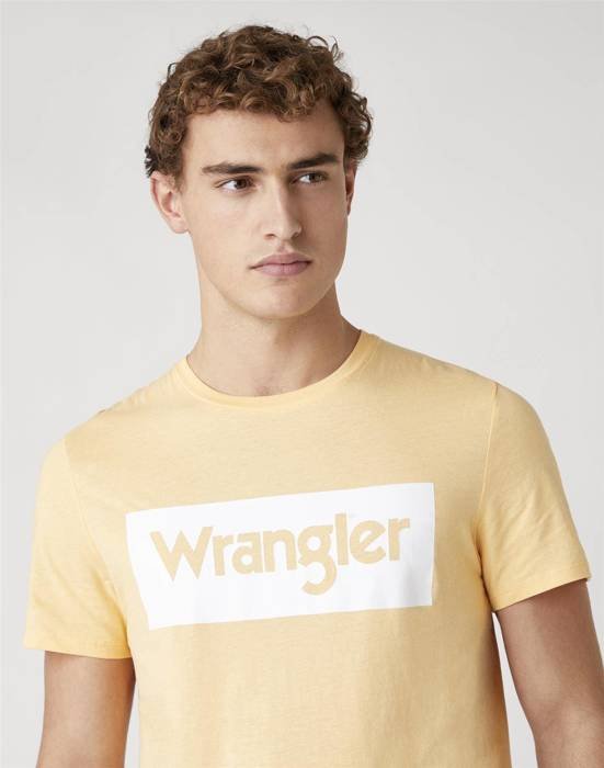 Męska koszula Wrangler SS LOGO TEE W742FKA11 w kolorze lovely mango